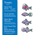 thumbnail image 3 of API Melafix Solution Liquide pour Aquariums d'Eau Douce et d'Eau de Mer, Flacon de 237 ml, 3 of 6