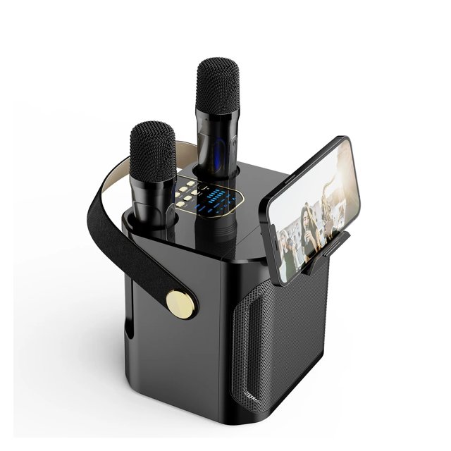 Wireless Dual Microphone Professional Handheld Speaker 360 Stereo Surround For Party Show Sta Wedding