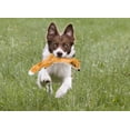thumbnail image 4 of SPOT Skinneeez Extreme Quilted Fox Stuffing Free Plush Tug Dog Toy, 4 of 5