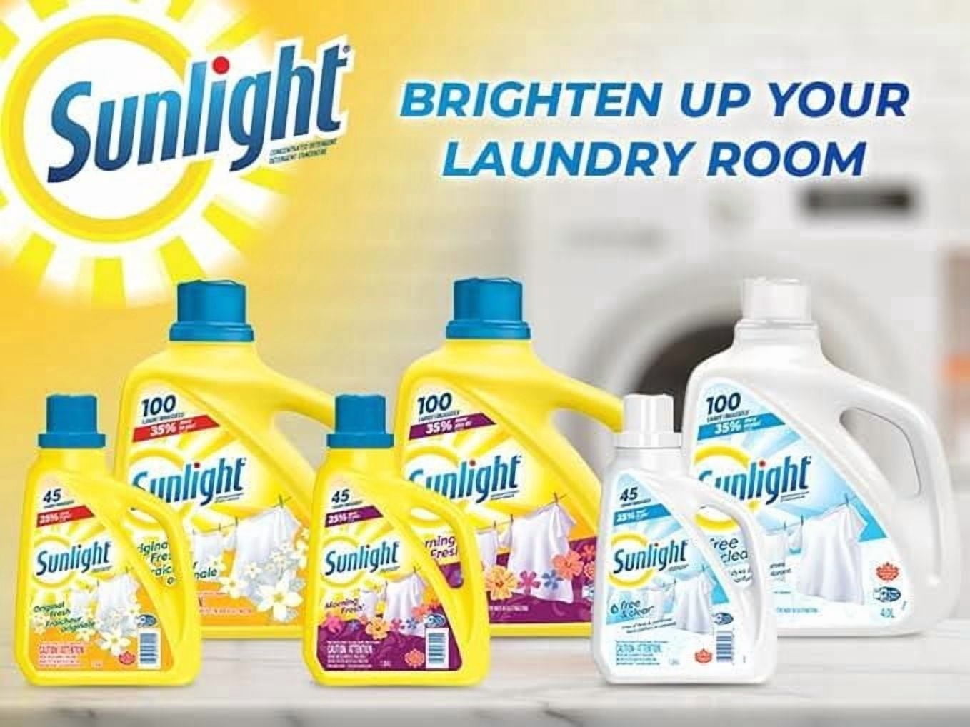 Sunlight Morning Fresh Détergent à Lessive Liquide Concentré, 4.0 Litres, 100 Brassées