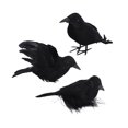 thumbnail image 2 of 3 Pcs Corbeaux d'Halloween Noirs Simulation Plume Corbeau Modèle Animal Corbeaux d'Halloween Style C, 2 of 9