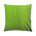 thumbnail image 2 of Ahgly Company Color Focus Green Coussin Décoratif d'Extérieur, 18 Po X 18 Po, 2 of 6