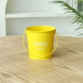 thumbnail image 5 of WIFKLSIIPG Small Metal Bucket with Handle – Durable Mini Pail for Home Garden and Crafts, 5 of 5