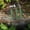 Outils de Plante Mignons Moins de $5 a4, variante sur Cagogo 4 Pcs Mini Outils de Jardin, Ensemble de 3 Pcs d'Outils de Jardinage pour Plantes d'Intérieur, Truelle Manuelle en Acier Inoxydable pour Repiquage et Culture, Petits Outils Manuels pour Fleurs en Pot, Succulentes, Jardinage d'Herbes