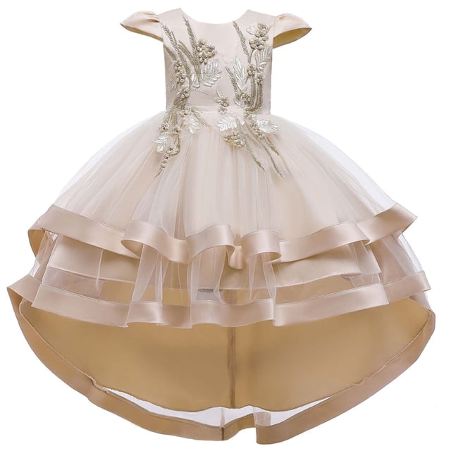 Robe Enfant Fille Sans Manches Robe Princesse Broderie Robe Queue Fleur Jupe Tutu Jupe Robe en Tulle Canoniques