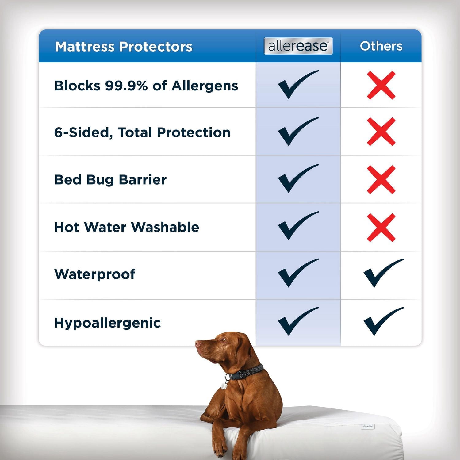 AllerEase Maximum Mattress Cover Protector Queen- Zippered, Waterproof, Allergen Barrier