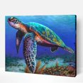 thumbnail image 1 of Claire The Turtle Peinture par Numéros, 1 of 2