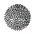 thumbnail image 1 of Pierres de Marche pour Enfants Hérisson Capsule d'Équilibre Sensorielle Demi-Dôme Pierres de Marche Argent, 1 of 9