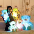 thumbnail image 2 of Creative Light Up LED Inductive Teddy Bear Stuffed Animals Plush Toy, 2 of 4