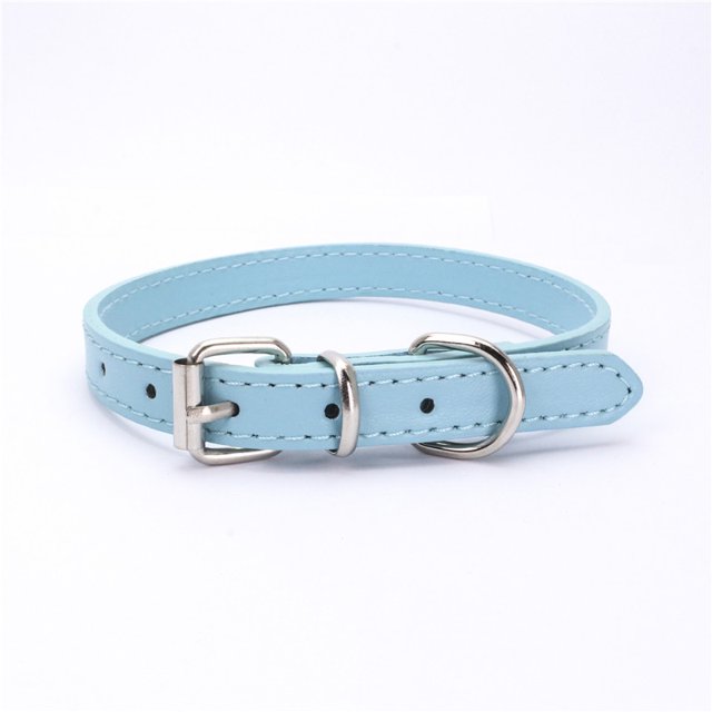 Collier Doux pour Chien, Sangle de Cou pour Petit Chiot Chaton Bleu TTP : 30*1.0 cm