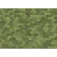 thumbnail image 1 of Ahgly Company Machine Washable Indoor Rectangle Transitional Green Onion Green Area Rugs, 2' x 3', 1 of 7