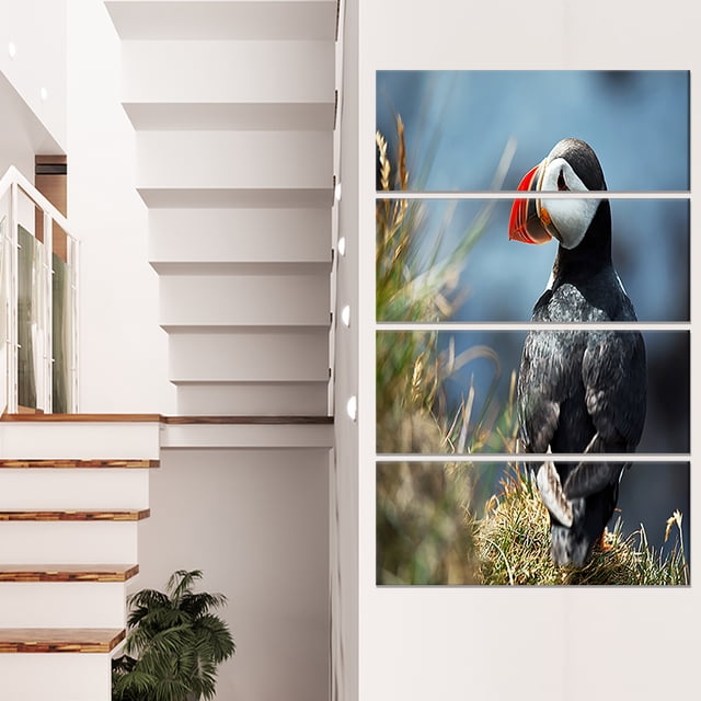 Cute Puffin Relaxing - Animal Art Painting