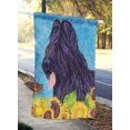 thumbnail image 2 of Carolines Treasures SS4123CHF 28 x 40 In. Briard Flag Canvas- House Size, 2 of 4