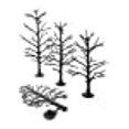 thumbnail image 2 of 5" - 7" DECIDUOUS, 2 of 4
