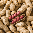 thumbnail image 3 of Applewood Signature Redskin Peanuts,300g, 3 of 6