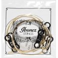 thumbnail image 3 of Ibanez Ibanez For acoustic guitar 80/20 bronze For EWP series only Coated strings IPCS6C, 3 of 3