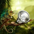 thumbnail image 2 of Reptile Lamp 75W Reptile Heat Bulb Amphibian Heat Lamp Sun Basking Lamp, 2 of 10