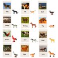 thumbnail image 1 of 1 Set Animal Model Cards Matching Cognitive Toy English Cards Animal Model Toy, 1 of 8