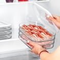 thumbnail image 1 of Refrigerator Storage Container, Food Preservation Box With Lid, Airtight Kitchen Organization, Ginger Garlic Onion Keeper, Meal Prep Containers, Refrigerator Organizer, 1 of 9