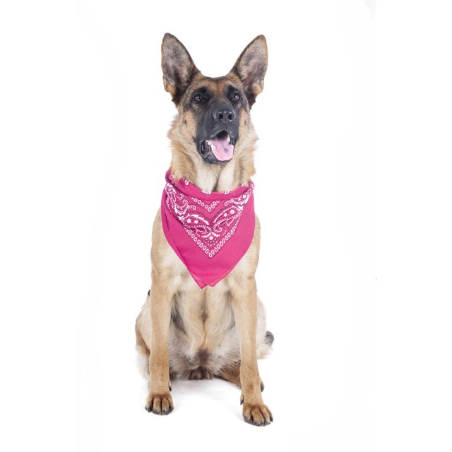 2 Pack Paisley Polyester Pets Dogs Bandana Triangle Shape - Oversized (Hot