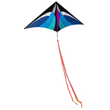 Meitianfacai Kites For Kids Kites For The Beach Huge Kite For Kids Colorful Kite Beach Kite With Long Tail Kites For Kids Adults