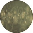 thumbnail image 1 of Ahgly Company Tapis Rond Lavable en Machine Intérieur Transitionnel Vert Armée, 3 Pieds Rond, 1 of 7