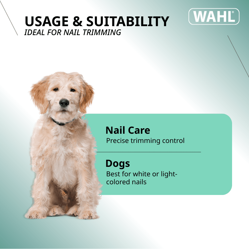 LED Pet Nail Clipper for Dogs & Cats – Precision Nail Trimmer with Built-in LED Light to See Quick, Ergonomic Grip, Safe & Easy Grooming Tool for Pets at Home - Model 58171
