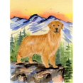thumbnail image 1 of Carolines Treasures SS8163CHF Golden Retriever Flag Canvas - House Size, 1 of 4