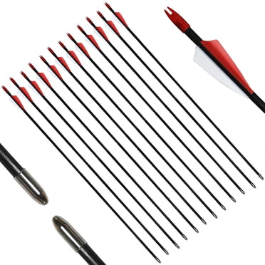 Piaoyu Archery Cible de Tir à l'Arc en Fibre de Verre de 29 Pouces Flèches d'Entraînement, pour Ado, Femme Ou Débutant, pour Arc d'Entraînement (Lot de 12)