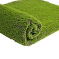 thumbnail image 2 of CNKOO Fake Grass Foldable Beautiful Natural Artificial Moss Grass for Living Room, 2 of 8