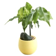 1Pc Small Planter Pots,Round Resin Plant Flower Pot,Faux Plants Containers Modern Decorative Pot,Mini Clay Flower Pot Cactus Succulent Planters,Garden Succulent Plant Ceramic Pot,Plant Pots