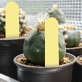 thumbnail image 1 of 100 Pack Garden Stake Tags, Reusable Garden Marker Plant Sign Multifunction Plant Labels Ground Hanging Inserting Garden Stake Labels for Flowers Plants 3.9x0.8in, 1 of 7