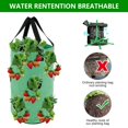 thumbnail image 4 of AMERTEER Strawberry Planting Pot Container Plant Grow Bags Home Hanging Strawberry Planter Growing Bags, 4 of 9