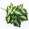 thumbnail image 3 of Coofit Artificial Plant Lifelike Decorative Fake Leaf Fake Plant Artificial Greenery, 3 of 8