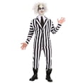 thumbnail image 1 of Beetlejuice: Adult Costume, 1 of 3
