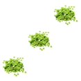 thumbnail image 3 of maskred Vibrant 400 Pcs Sequins Ronds en Vrac Couture Embellissement 7mm Vert 3ensemble, 3 of 6
