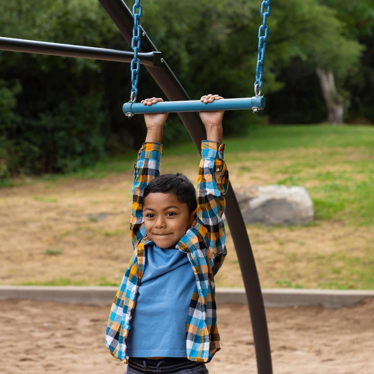 Lifetime Adventure Castle Playset With Swings