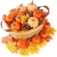 thumbnail image 2 of Ensemble de Citrouilles Artificielles Réalistes Fausses Citrouilles Décor pour l'Halloween, 2 of 10