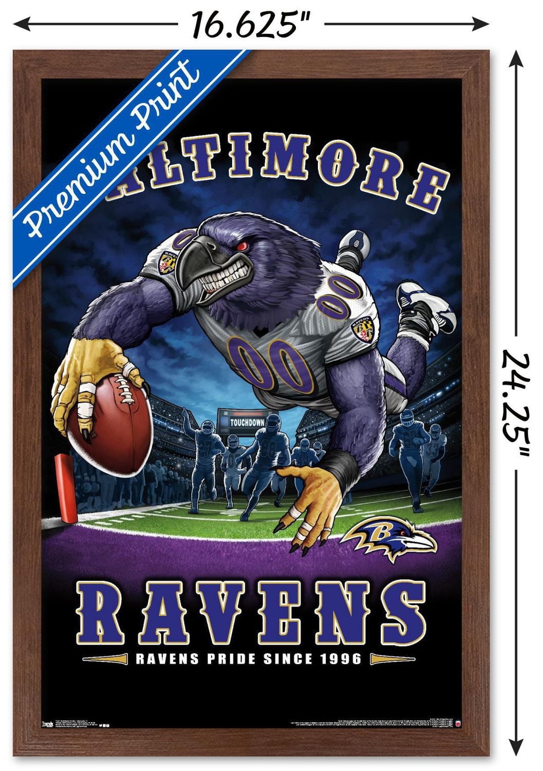 Ravens de Baltimore la NFL