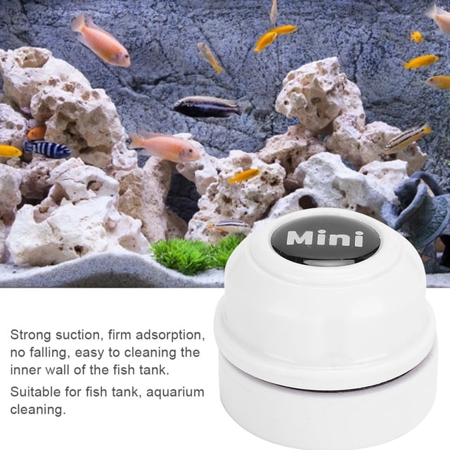 Brosse pour Poisson à Apparence Exquise, Mini Brosse pour Poisson à Forte Aspiration, pour Poissons d'Aquarium Blanc,Vert,orange,Violet,Rouge Foncé