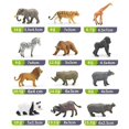 thumbnail image 2 of 12PCS Mini Forest Animals Figures Toy Simulation Forest Animals Figurines Playset PVC Wild Animal Cognitive Toys For Children, 2 of 7