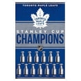 thumbnail image 1 of Maple Leafs de Toronto de la LNH - Champions 23, 1 of 4
