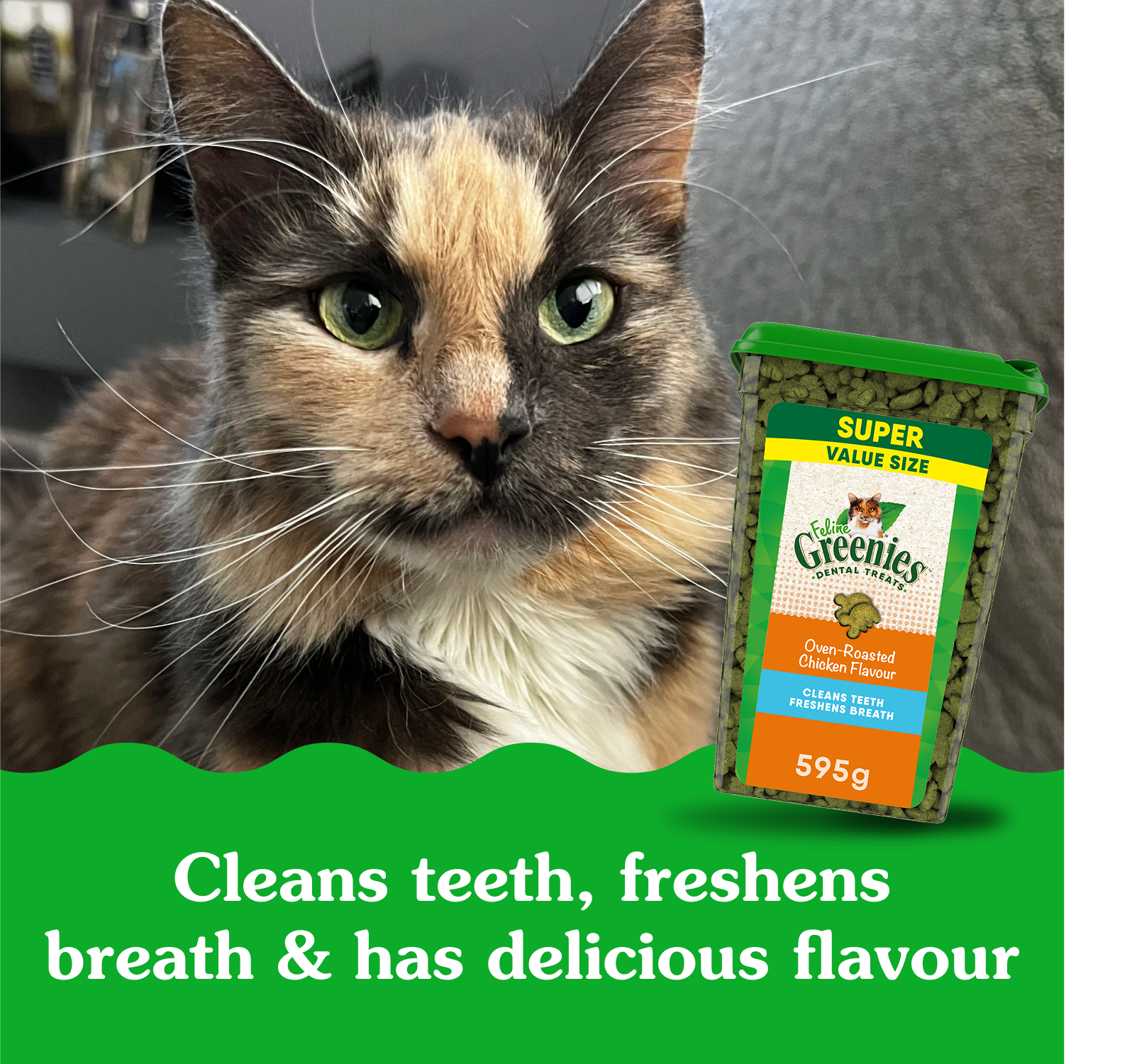 Gâteries dentaires pour chats adultes FELINE GREENIES saveur de poulet rôti au four en format très économique, contenant de 595 g (21 oz)