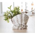 thumbnail image 3 of Seaside Scallop Planter, 3 of 4