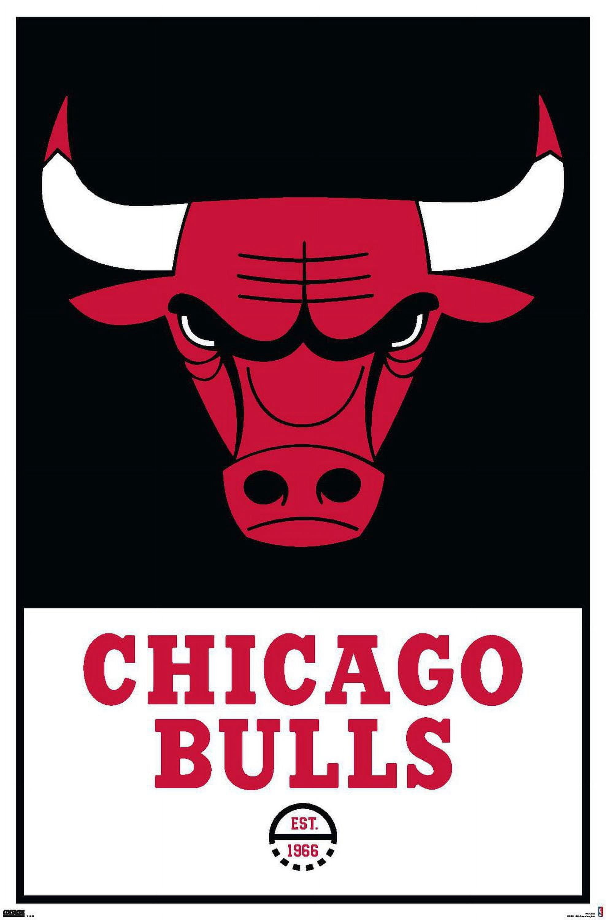 NBA Chicago Bulls - Logo 21 Wall Poster, 22.375" x 34"