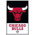 thumbnail image 1 of NBA Chicago Bulls - Logo 21 Wall Poster, 22.375" x 34", 1 of 4