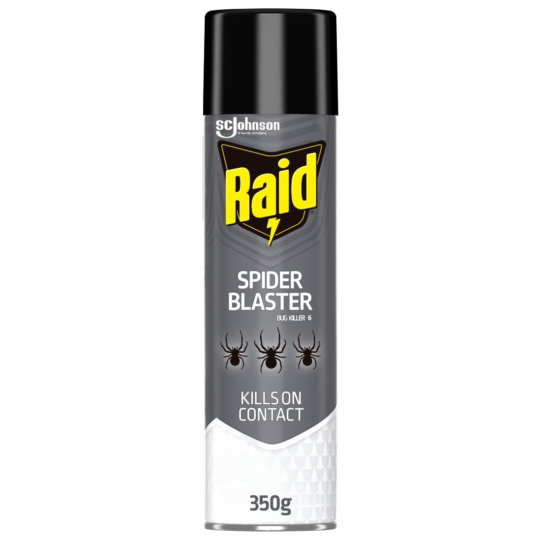 Raid Spider Blaster Insect Killer Spray, for Indoor and Outdoor Use, 350g