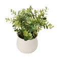 thumbnail image 3 of Anko Artificial Eucalyptus in Pot, 3 of 5