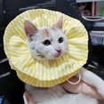 thumbnail image 1 of CBFFDC Pet Cervical Collar Protective Collar Soft Breathable Adjustable Buckle Classic Striped Neck Wear Post Surgery, 1 of 7