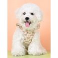 thumbnail image 4 of Hp265 Harness Style Dog Leash For Small And Medium Breeds Such As Teddy And Pomeranian, 4 of 5